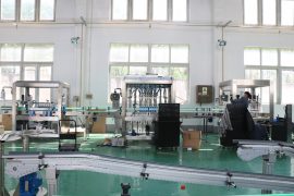 ມຸມມອງຂອງໂຮງງານ